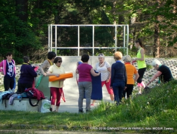 GIMNASTYKA W PARKU - OCZYWIŚCIE W SŁOŃCU - zdjęcie1