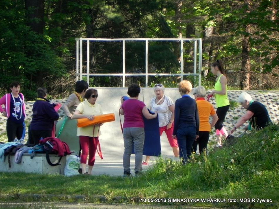 GIMNASTYKA W PARKU - OCZYWIŚCIE W SŁOŃCU