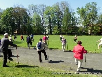 W PARKU WIOSNA. MASZERUJEMY! - zdjęcie18
