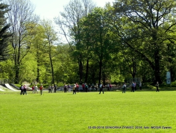 W PARKU WIOSNA. MASZERUJEMY! - zdjęcie15