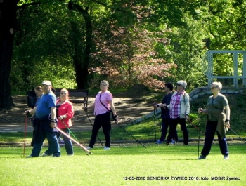 W PARKU WIOSNA. MASZERUJEMY! - zdjęcie14
