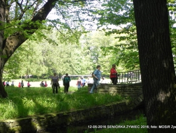 W PARKU WIOSNA. MASZERUJEMY! - zdjęcie11