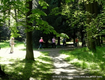 W PARKU WIOSNA. MASZERUJEMY! - zdjęcie10