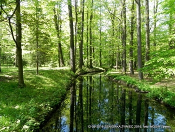 W PARKU WIOSNA. MASZERUJEMY! - zdjęcie8