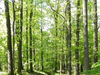 W PARKU WIOSNA. MASZERUJEMY! - zdjęcie7