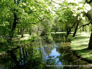 W PARKU WIOSNA. MASZERUJEMY! - zdjęcie6