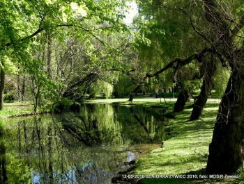 W PARKU WIOSNA. MASZERUJEMY! - zdjęcie5