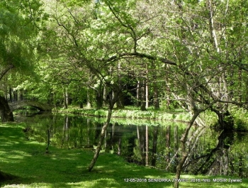 W PARKU WIOSNA. MASZERUJEMY! - zdjęcie4
