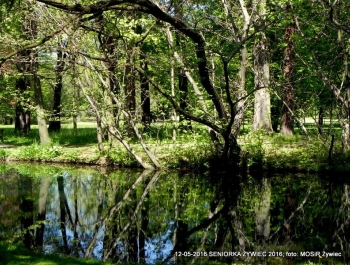 W PARKU WIOSNA. MASZERUJEMY! - zdjęcie3
