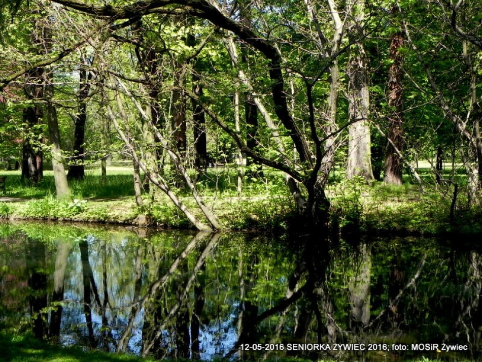 W PARKU WIOSNA. MASZERUJEMY!