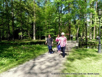 W PARKU WIOSNA. MASZERUJEMY! - zdjęcie2