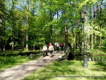 W PARKU WIOSNA. MASZERUJEMY! - zdjęcie1
