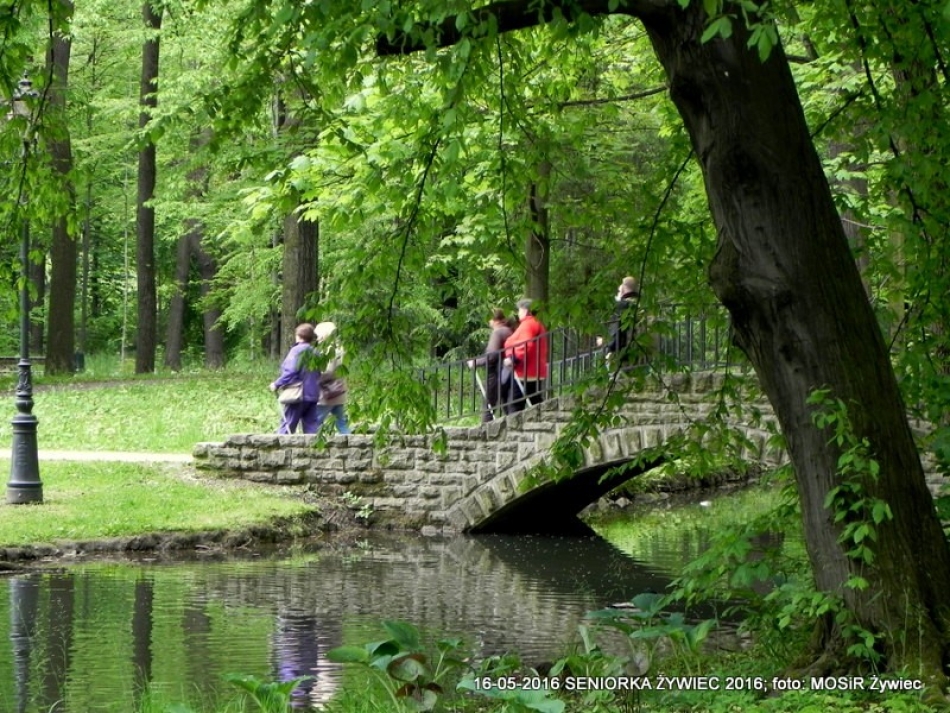 NORDIC WALKING TO JEST TO!