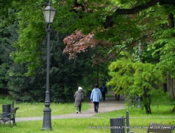 SENIORZY ZNOWU W PARKU - zdjęcie10