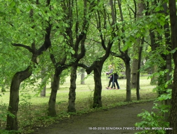 SENIORZY ZNOWU W PARKU - zdjęcie9