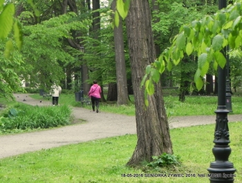 SENIORZY ZNOWU W PARKU - zdjęcie8