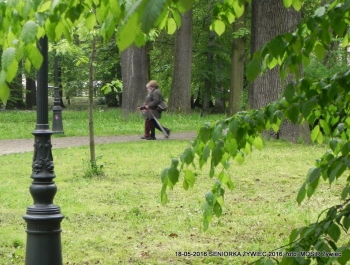 SENIORZY ZNOWU W PARKU - zdjęcie7