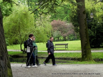 SENIORZY ZNOWU W PARKU - zdjęcie6