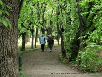SENIORZY ZNOWU W PARKU - zdjęcie4