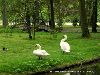 SENIORZY ZNOWU W PARKU - zdjęcie3