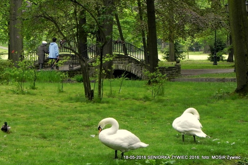 SENIORZY ZNOWU W PARKU