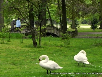 SENIORZY ZNOWU W PARKU - zdjęcie2