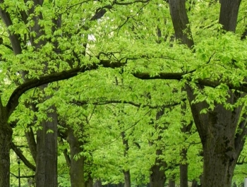 SENIORZY ZNOWU W PARKU - zdjęcie1