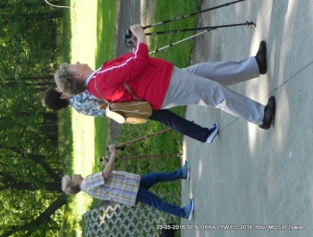 PARK ZAPRASZA. A MY MASZERUJEMY - zdjęcie18