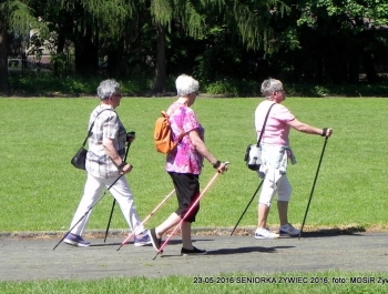 PARK ZAPRASZA. A MY MASZERUJEMY - zdjęcie15