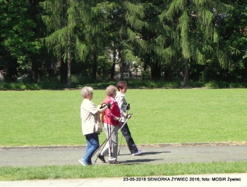 PARK ZAPRASZA. A MY MASZERUJEMY - zdjęcie14