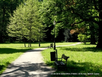 PARK ZAPRASZA. A MY MASZERUJEMY - zdjęcie13