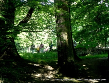 PARK ZAPRASZA. A MY MASZERUJEMY - zdjęcie12