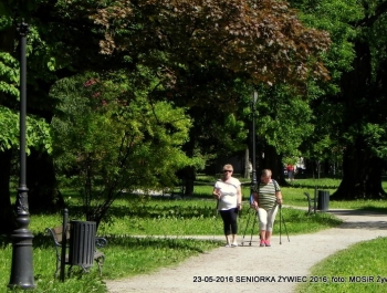 PARK ZAPRASZA. A MY MASZERUJEMY - zdjęcie11
