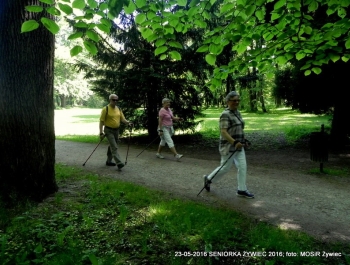 PARK ZAPRASZA. A MY MASZERUJEMY - zdjęcie9