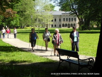 PARK ZAPRASZA. A MY MASZERUJEMY - zdjęcie8