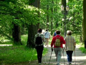 PARK ZAPRASZA. A MY MASZERUJEMY - zdjęcie7