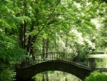 PARK ZAPRASZA. A MY MASZERUJEMY - zdjęcie5