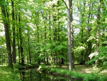 PARK ZAPRASZA. A MY MASZERUJEMY - zdjęcie4