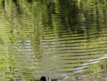 PARK ZAPRASZA. A MY MASZERUJEMY - zdjęcie2