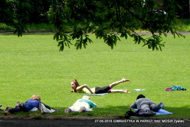 MAJ + PARK =  GIMNASTYKA
