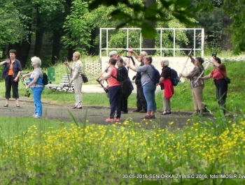 NORDIC WALKING W PARKU. JEST SUPER! - zdjęcie11