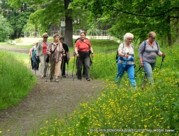 NORDIC WALKING W PARKU. JEST SUPER! - zdjęcie9