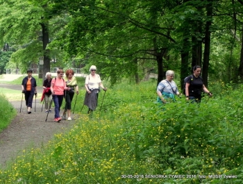 NORDIC WALKING W PARKU. JEST SUPER! - zdjęcie7