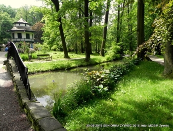 NORDIC WALKING W PARKU. JEST SUPER! - zdjęcie6