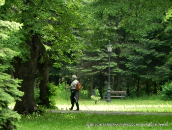 NORDIC WALKING W PARKU. JEST SUPER! - zdjęcie5