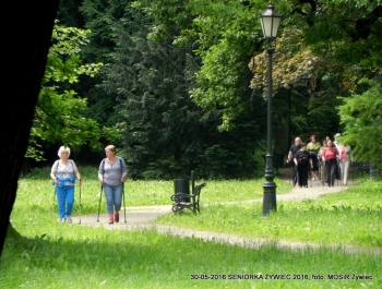 NORDIC WALKING W PARKU. JEST SUPER! - zdjęcie4