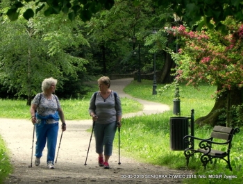 NORDIC WALKING W PARKU. JEST SUPER! - zdjęcie3