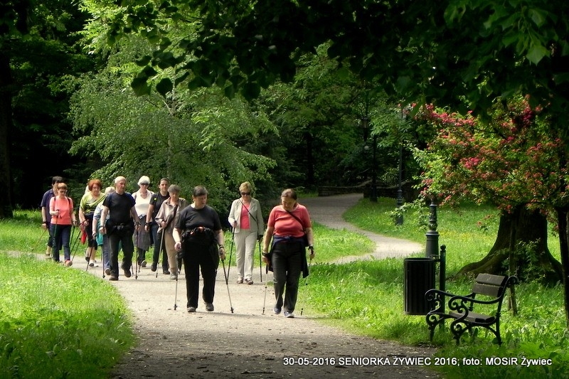 NORDIC WALKING W PARKU. JEST SUPER!