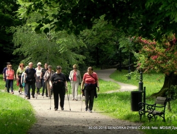 NORDIC WALKING W PARKU. JEST SUPER! - zdjęcie2
