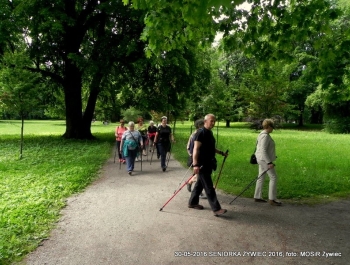 NORDIC WALKING W PARKU. JEST SUPER! - zdjęcie1